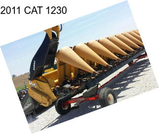 2011 CAT 1230