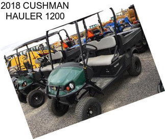 2018 CUSHMAN HAULER 1200