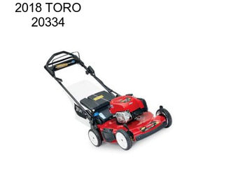 2018 TORO 20334