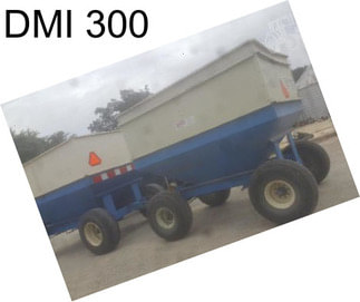 DMI 300