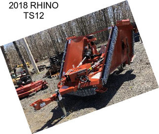 2018 RHINO TS12