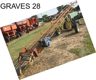 GRAVES 28