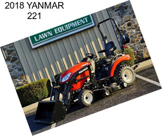 2018 YANMAR 221