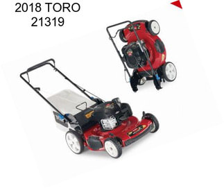 2018 TORO 21319