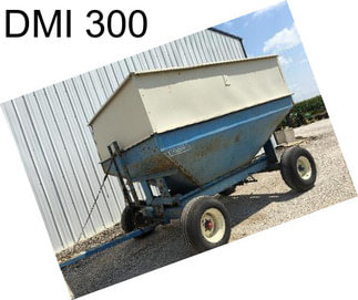 DMI 300