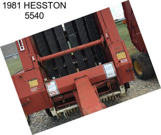 1981 HESSTON 5540