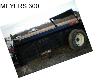 MEYERS 300