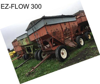 EZ-FLOW 300