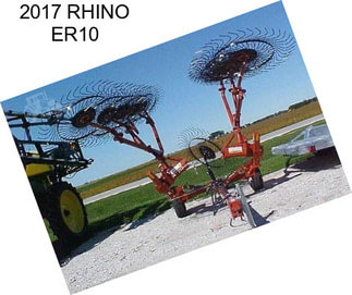 2017 RHINO ER10