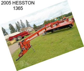 2005 HESSTON 1365