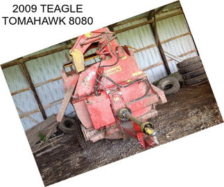 2009 TEAGLE TOMAHAWK 8080
