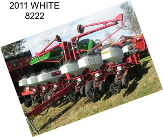 2011 WHITE 8222