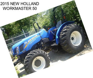 2015 NEW HOLLAND WORKMASTER 50