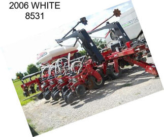 2006 WHITE 8531