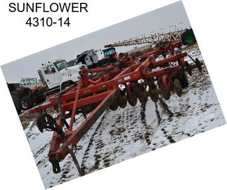 SUNFLOWER 4310-14