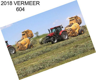 2018 VERMEER 604