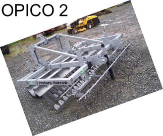 OPICO 2