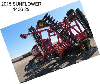 2015 SUNFLOWER 1436-29