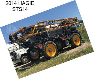 2014 HAGIE STS14