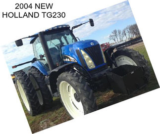 2004 NEW HOLLAND TG230