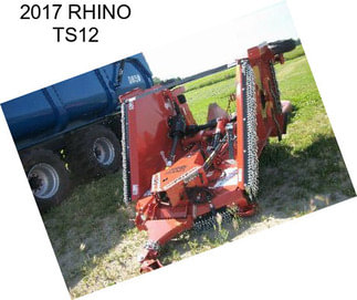 2017 RHINO TS12