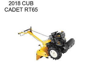 2018 CUB CADET RT65