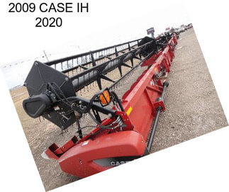 2009 CASE IH 2020