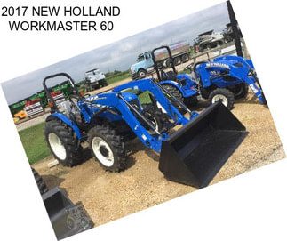 2017 NEW HOLLAND WORKMASTER 60