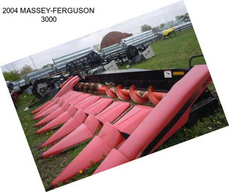 2004 MASSEY-FERGUSON 3000