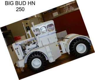 BIG BUD HN 250