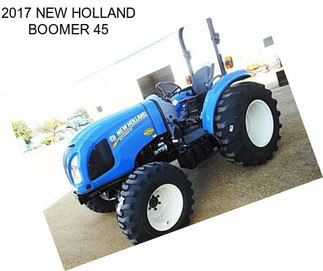 2017 NEW HOLLAND BOOMER 45