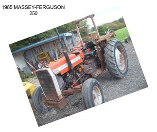 1985 MASSEY-FERGUSON 250