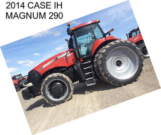 2014 CASE IH MAGNUM 290