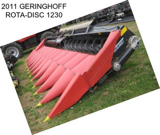 2011 GERINGHOFF ROTA-DISC 1230