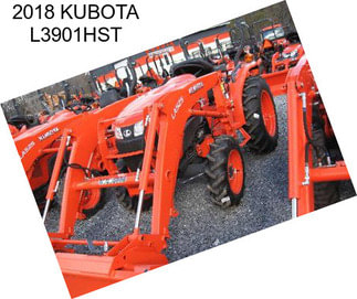 2018 KUBOTA L3901HST