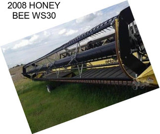 2008 HONEY BEE WS30