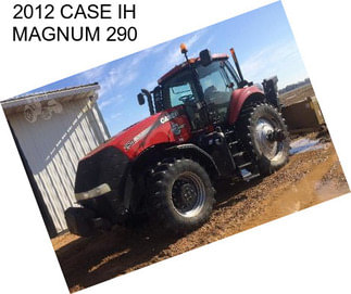 2012 CASE IH MAGNUM 290