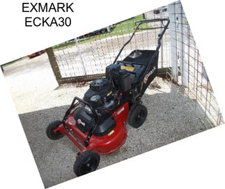 EXMARK ECKA30