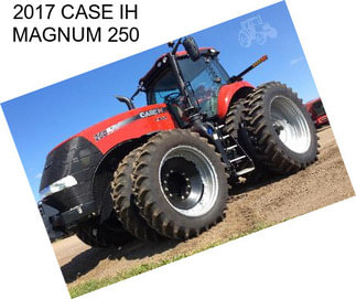 2017 CASE IH MAGNUM 250