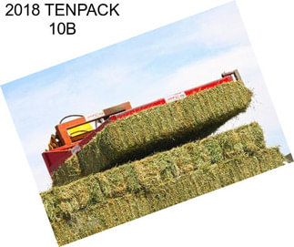 2018 TENPACK 10B