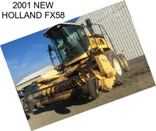 2001 NEW HOLLAND FX58