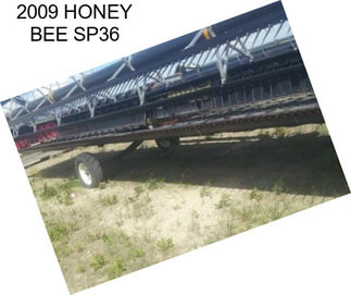 2009 HONEY BEE SP36