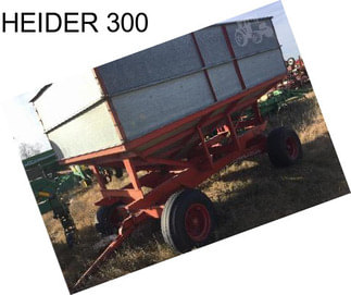HEIDER 300