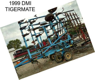 1999 DMI TIGERMATE