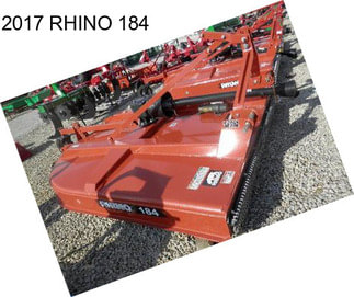 2017 RHINO 184