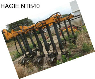 HAGIE NTB40