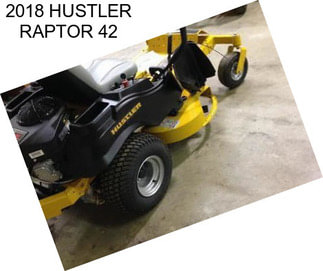 2018 HUSTLER RAPTOR 42