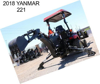 2018 YANMAR 221