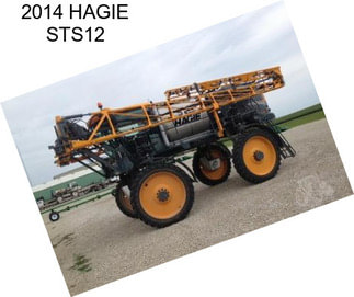 2014 HAGIE STS12