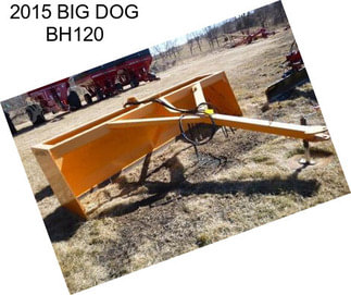 2015 BIG DOG BH120